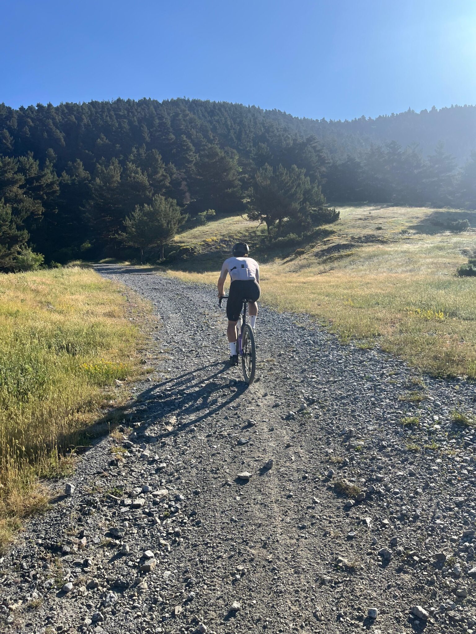 WhatsApp Image 2025-06-19 at 12.56.10